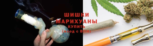 не бодяженный Горно-Алтайск