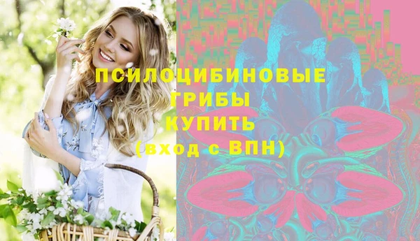 соль ск Горнозаводск