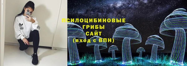 не бодяженный Горно-Алтайск