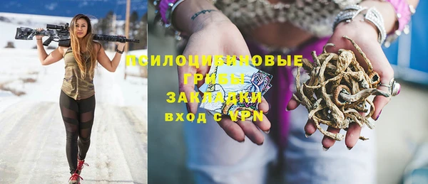 не бодяженный Горно-Алтайск